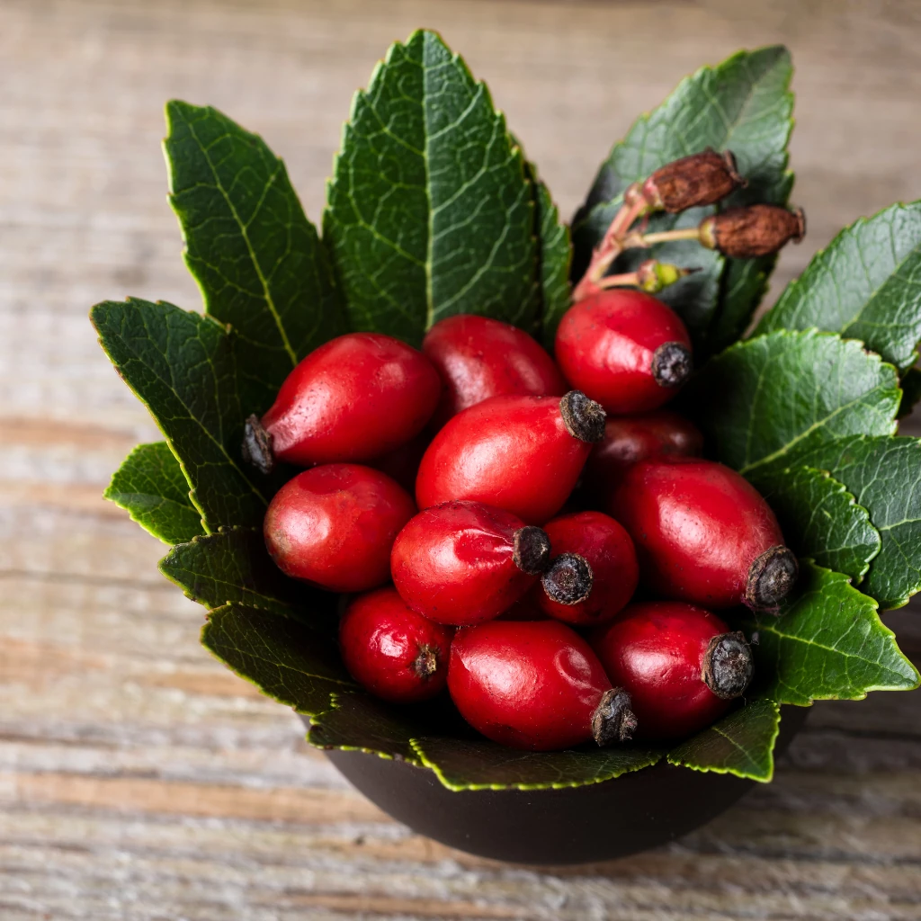Imagem de frutos da rosa mosqueta em uma cesta de folhas verdes ilustrando o texto Características sensoriais da rosa mosqueta e seus usos na cosmética clean beauty